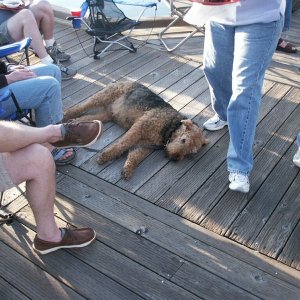 (Da Nag) Winston "guarding" the dock