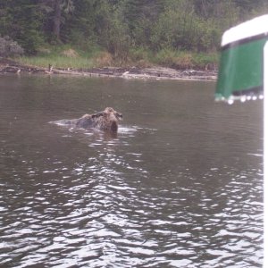 Isle Royale 2007 083