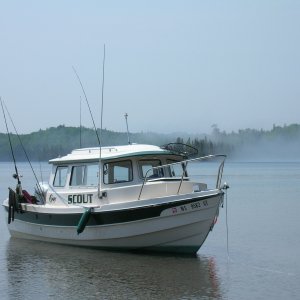 cool fog