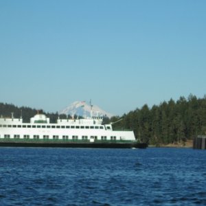 Ferry Coming into Shaw Viewed from Blind Island