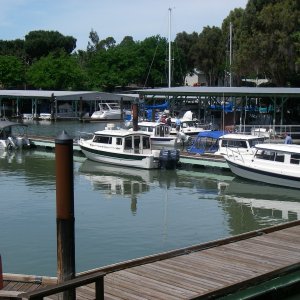 the line up
