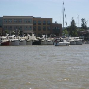 Media 'Nordic Tugs at Petaluma' in album 'See associated event thread for explanation of first 16 photos.'