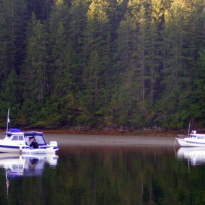 (Pat Anderson) Bambina and True Story Von Donop Inlet 9-13-05