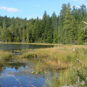 (Pat Anderson) Lake Above Grace Harbour 9-16-05