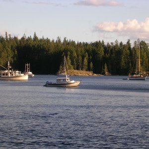 (True Story) Squirrel Cove and wind gusts