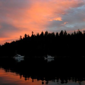 (True Story) Squirrel Cove at Dusk