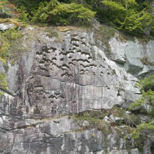 (TwoLuckyFish) Small caves or lichen?