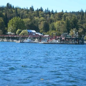 (TwoLuckyFish) Squirrel Cove Store & Dock