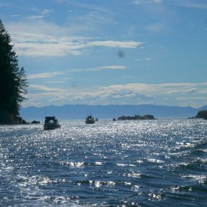 (TwoLuckyFish) Gorge Harbor 3