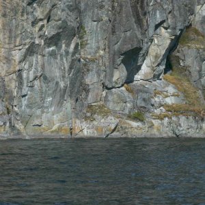 (TwoLuckyFish) Gorge Harbor 5