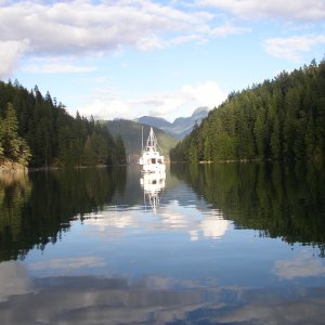 Looking out of Roscoe Bay