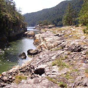 Walsh Cove