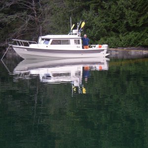 Anchored with stern line at Walsh Cove