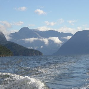 Looking down Toba Inlet