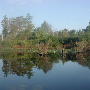 Media 'Reflections on the Pamunkey River (ICW)' in album 'Captain's Choice Transit down ICW from Potomac River south to Albemarle Sound and return.  About a week in all.  Departed 18 October, returned 25 October 2003'