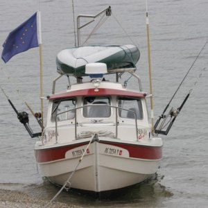 RedFoxDownriggers