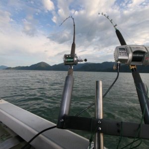 RedFoxFishing