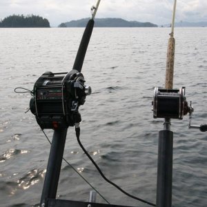 RedFoxfishing2
