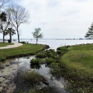 Green Cove Springs emptying into the St. John\'s.  You can barely make out the public docks in the left background.