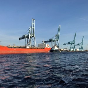 Shipping terminals on the St. Johns just east of Jacksonville.