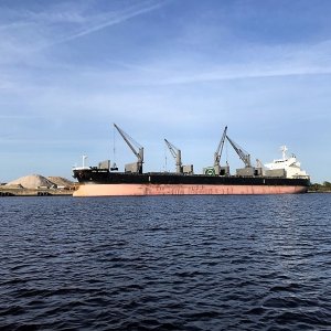 Self loading ship with it\'s own cranes.