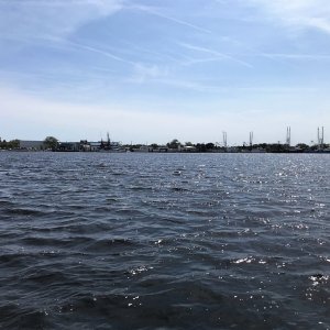 Mayport Fishing Fleet