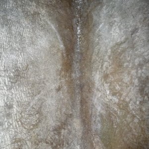 Media 'Looking straight down the access hole and at the inside of the stem.' in album 'Cutty, Forward to Port.
Wooden boat paddle held up under port forward deck.
Access hatch to storage locker.'