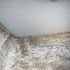 Looking up the inside of the stem and the insulation under the anchor locker and back to the "V" storage locker.