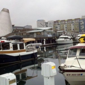 Media 'Amy Marie and Daydream at Dock Street Marina' in album 'Amy Marie and Daydream at Dock Street Marina'