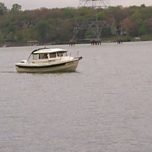 Falcon arriving