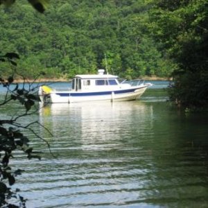 Media '1st night anchored in a cove.' in album '1st night anchored in a cove.'