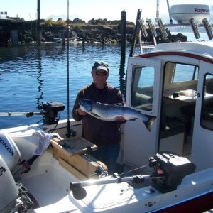 13 pound Silver at Sekiu