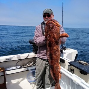 Sekiu Lingcod 2020