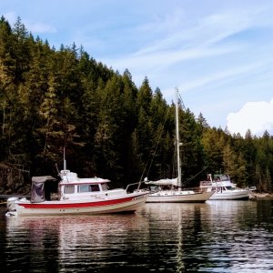 Grace Harbour, Desolation Sound Aug 2019