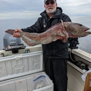 Nootka Sound 20 pounder July 2022