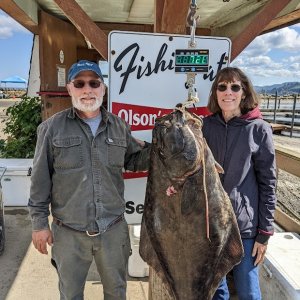 73 pound Halibut - Seiku was good to us in 2022