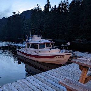 Critter Cove, Nootka sound July 2022