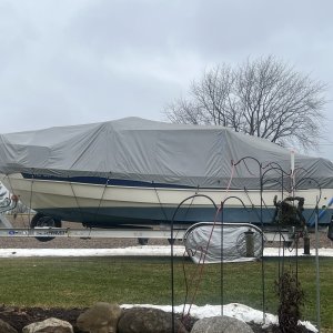 Media 'IMG 3848' in album 'Boat cover, bow view'