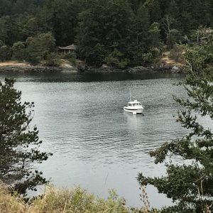 Media '19 - Shaw Island - Blind Bay' in album '1- Keystone Ferry - aka Seattle ByPass!'