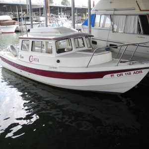 C-dory_001.JPG