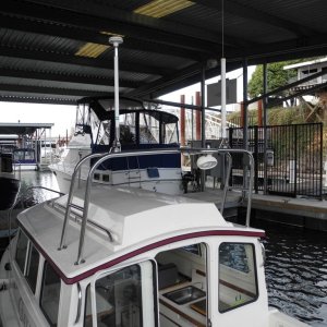 C-dory_005.JPG