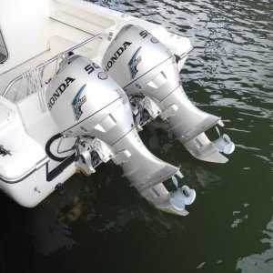 C-dory_006.JPG