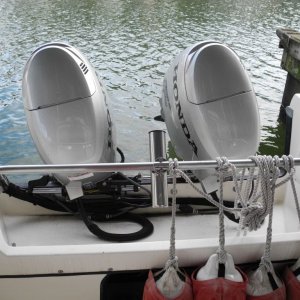C-dory_007.JPG