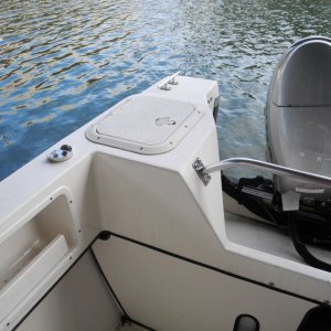 C-dory_008.JPG