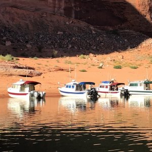 Forgotten Canyon. Constant Craving, Discovery, Outlier and Midnight Flyer
