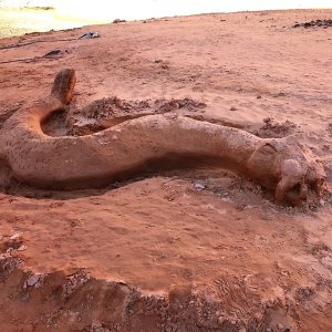 Moki Canyon sea serpent. Artist unknown.