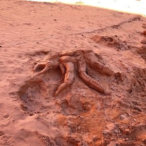 Moki Canyon sea serpent. Artist unknown.