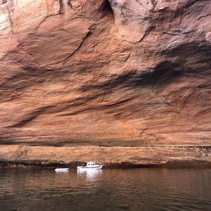 Media 'Outlier in a Cavern in Lost Eden Canyon' in album 'LP092018023'