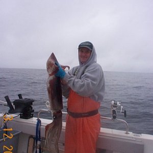 Media '(SEA HUNTER)' in album '(SEA HUNTER) Half Moon Bay'