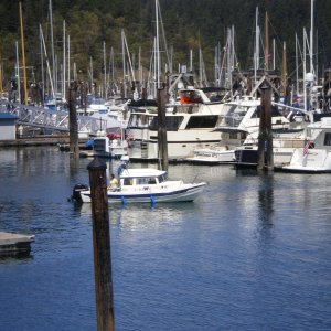 C-Dawg arrives Friday Harbor on Saturday